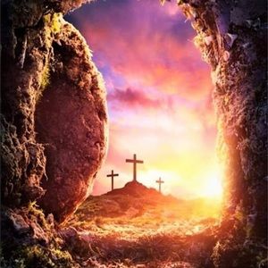 Meet your Posher, Pam